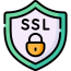 icon ssl 65x65 1 e1708709158917